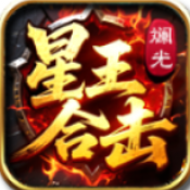 斓光星王合击