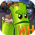 植物大战僵尸wenhua